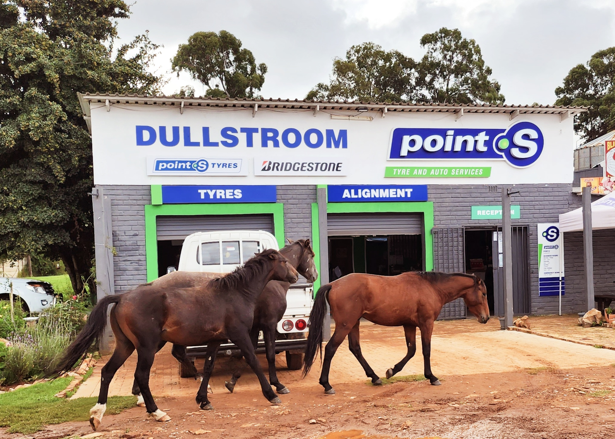 Dullstroom Point-S