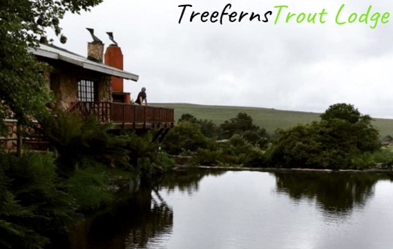 Treeferns Trout Lodge